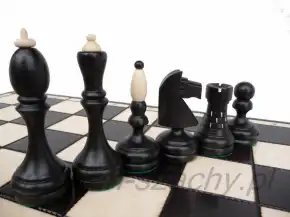 Černé a světlé turnajové figurky